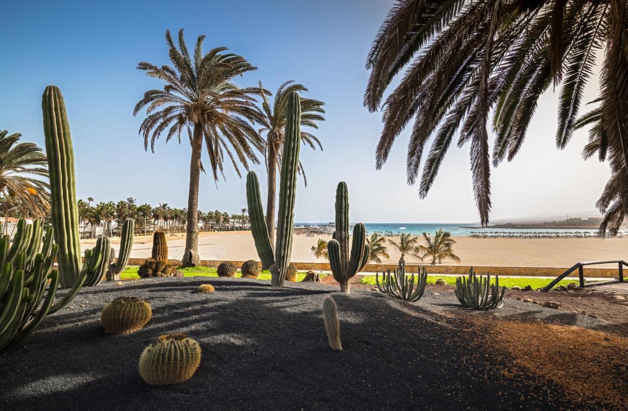 Barcelo Fuerteventura Royal Level - Adults Only Hotel Caleta De Fuste Luaran gambar